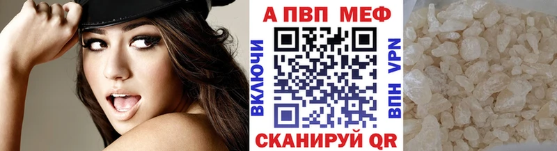 A PVP СК  Лесной 