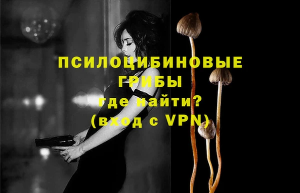 a pvp Россошь