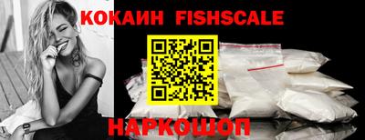 2c-b Камышлов