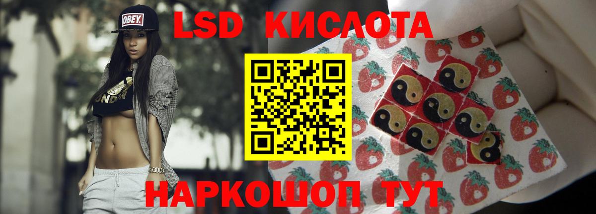 Альфа ПВП Лесной