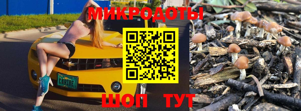Галлюциногенные грибы Magic Shrooms Лесной