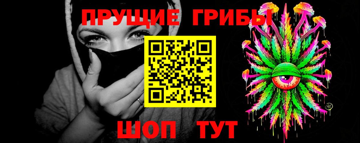 Лесной  Галлюциногенные грибы Psilocybine cubensis  Вход с VPN 